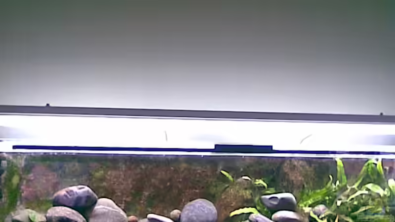 07.03.09 von Michael Geigel (1)