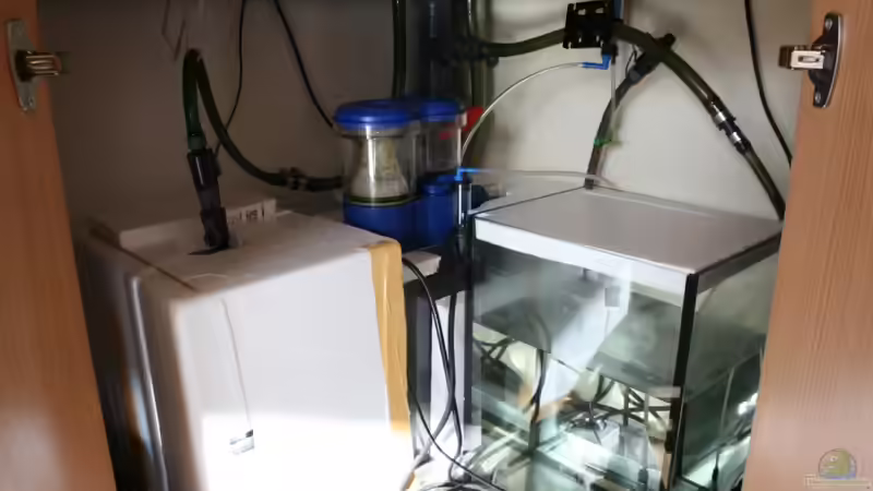 07.03.2010 von Susanne Axt (32)