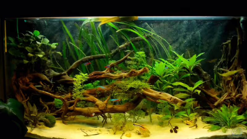 07.04.2012 von Koehler (16)