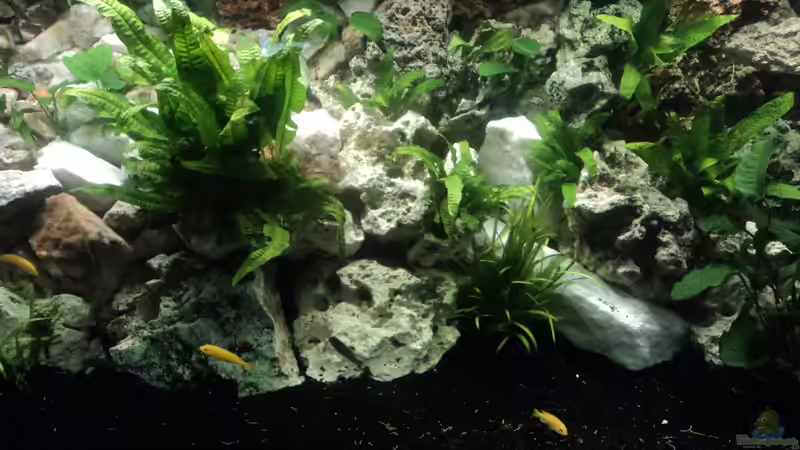 07.05.2012 von Malawiwelt (1)