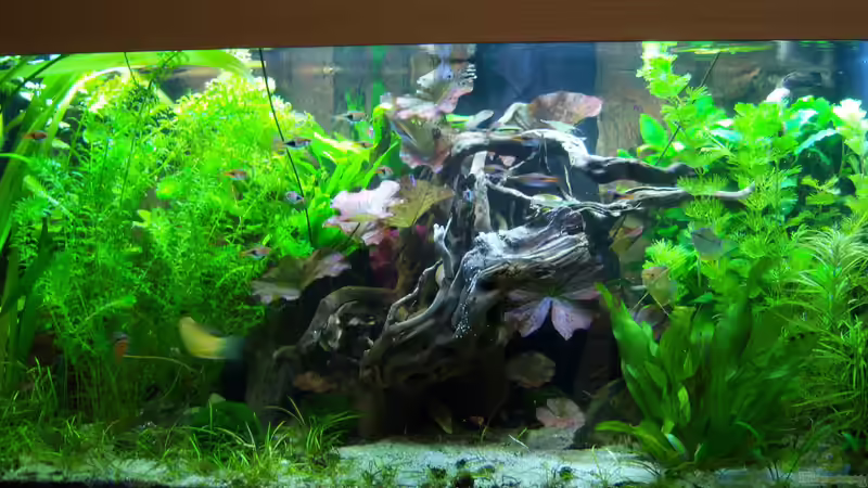 07.05.2015 von Schratze (3)