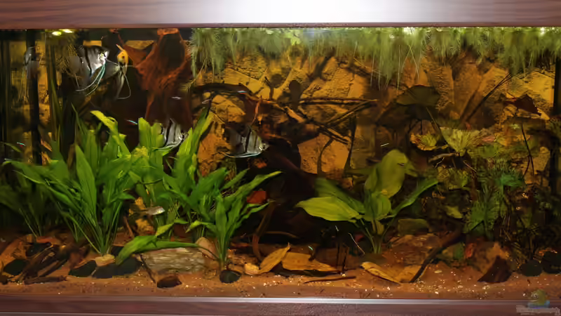 07.06.2013 von Life (18)