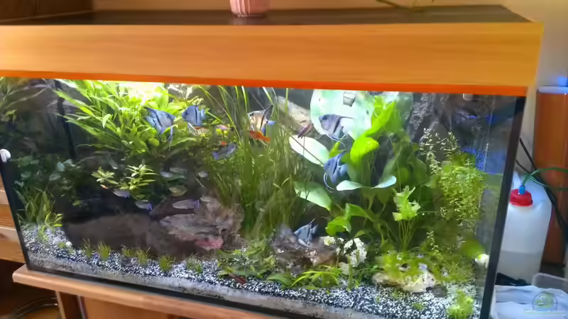 07.06.2014 von raubsau (28)