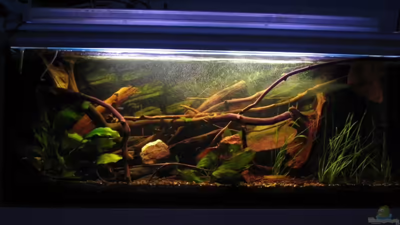 07.07.2015 Diffusor gegen Sauerstoffmangel von der Theoretiker (11)