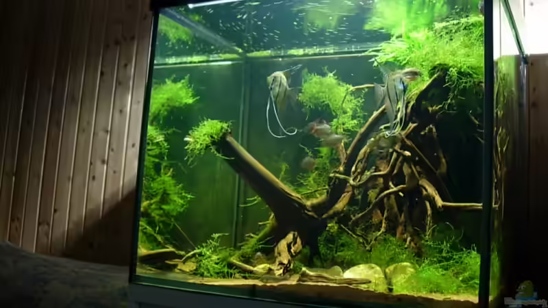 07.08.09 von Daniel_ (1)