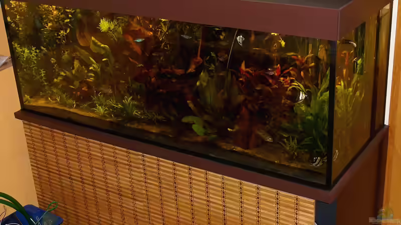 07.08.2012 von Andreas Brandt (2)