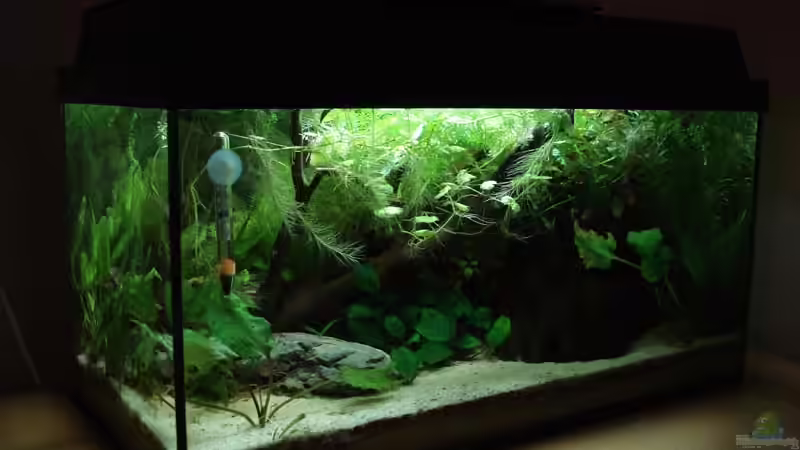 07.09.09 von Laura (11)