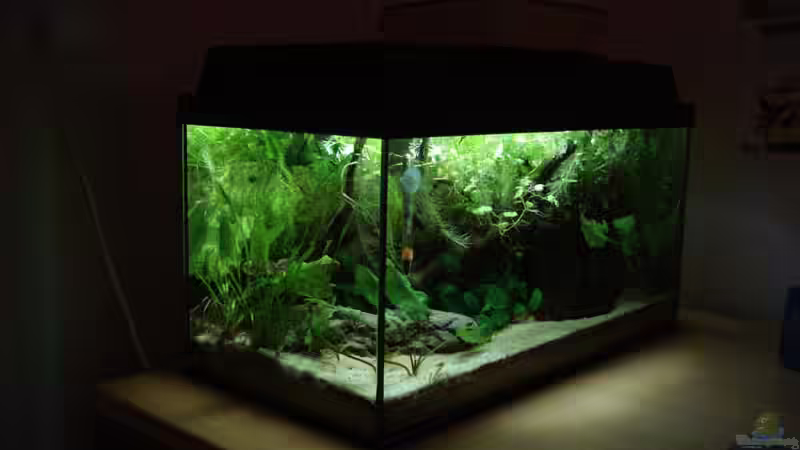 07.09.09 von Laura (13)