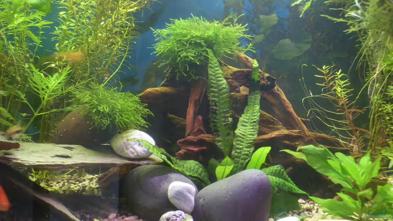 07.09.14 von Stefano83 (10)