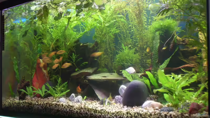 07.09.14 von Stefano83 (12)