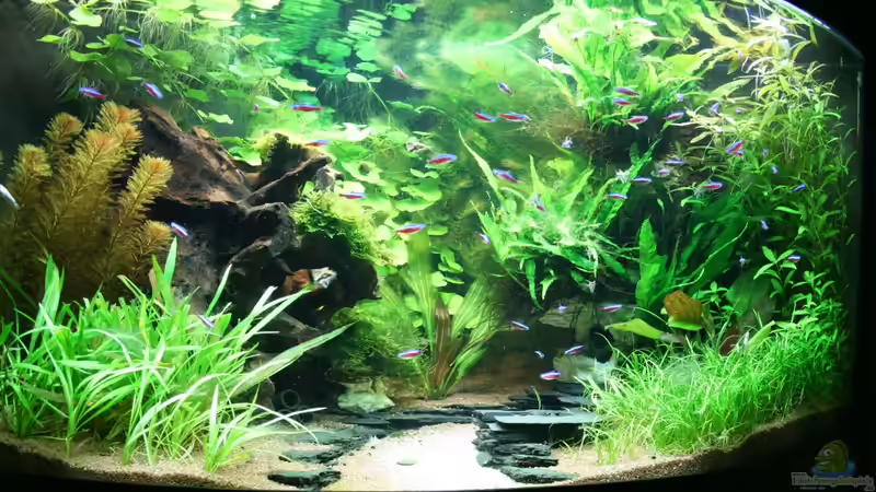 07.09.2011 von Christian Grunwald (12)