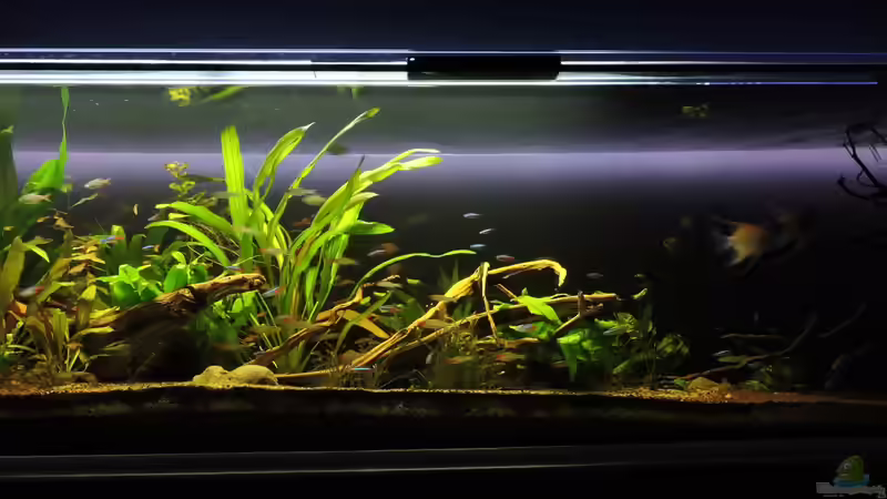 07.09.2017 von Ragner (10)