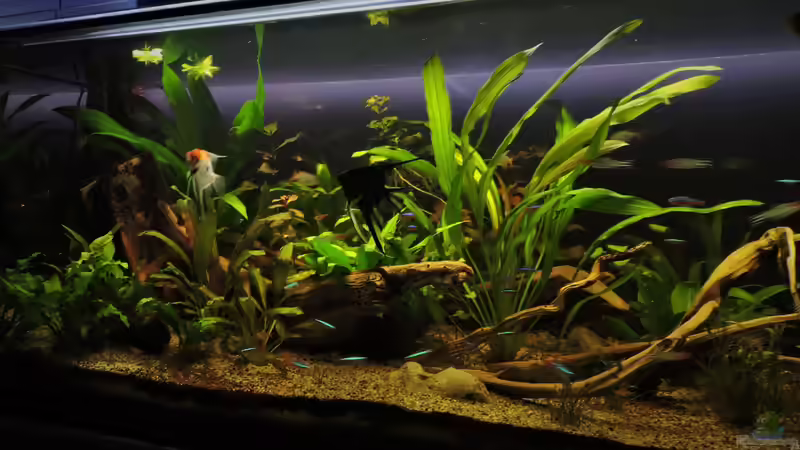 07.09.2017 von Ragner (11)