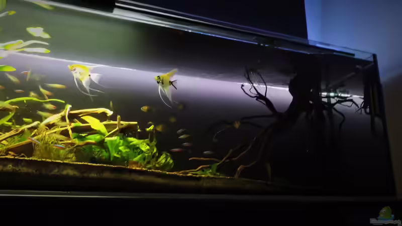 07.09.2017 von Ragner (13)