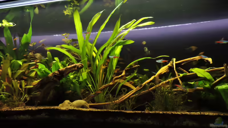 07.09.2017 von Ragner (14)