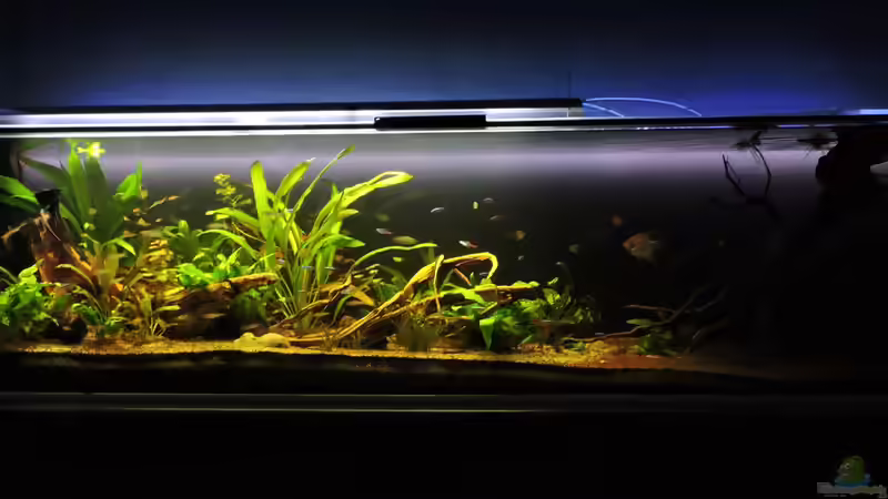 07.09.2017 von Ragner (15)