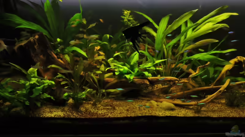 07.09.2017 von Ragner (2)