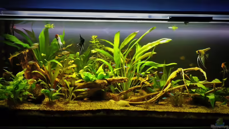 07.09.2017 von Ragner (3)