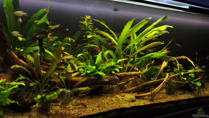 07.09.2017 von Ragner (5)