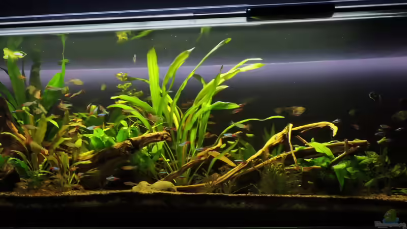 07.09.2017 von Ragner (6)