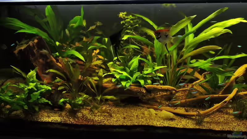 07.09.2017 von Ragner (9)