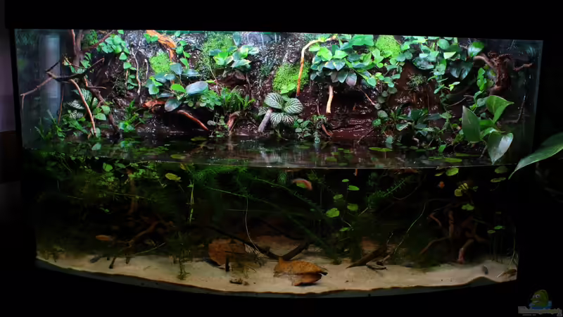 07.10.2013 von Koehler (9)