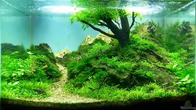 07.11.11 von -serok- (4)