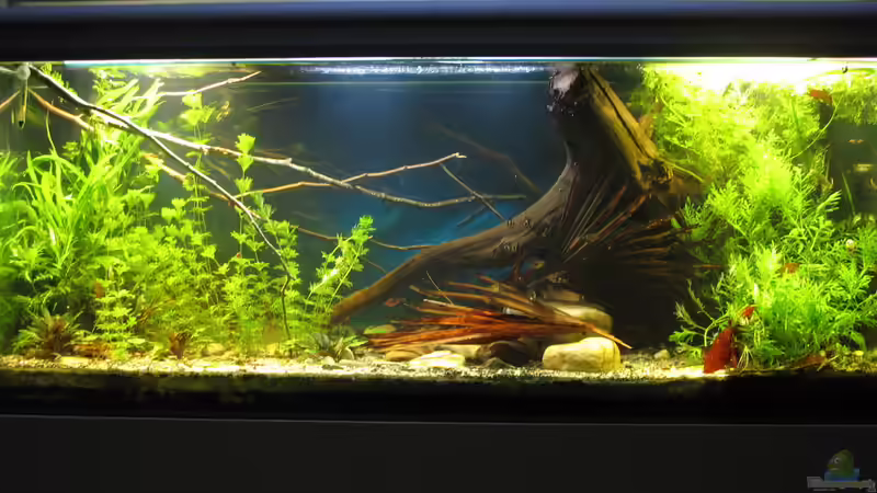 07.12.2017 von der Theoretiker (21)