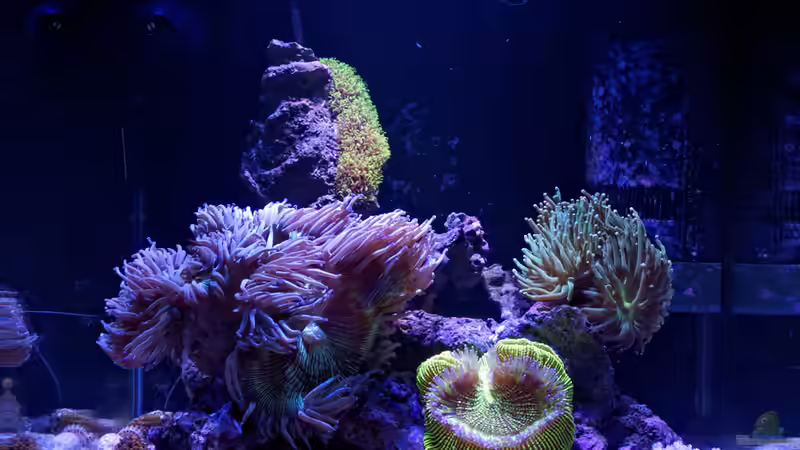 08. Juli 2013 von uepsie (1)