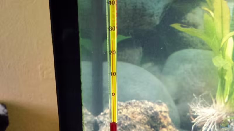 08.01.2014 von benjamin (19)