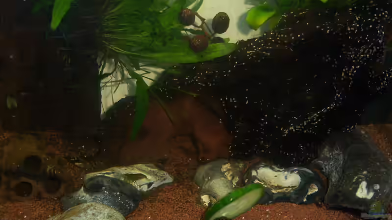 08.01.2015- Blick von oben von Schratze (24)