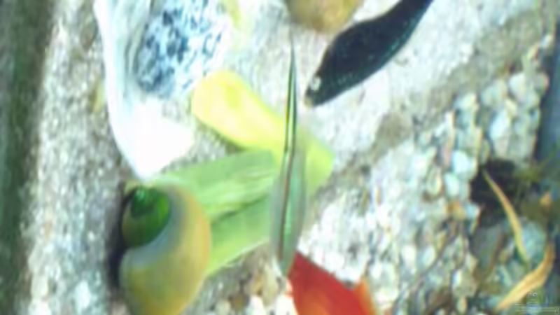 08.02.2012 von baw (4)