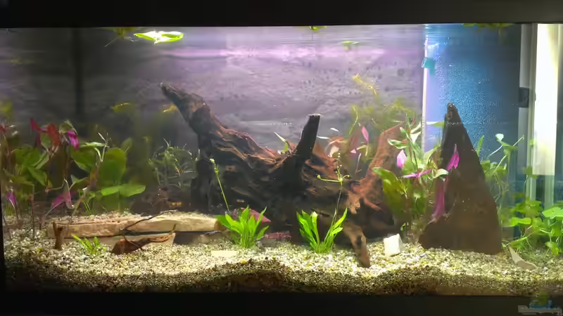 08.02.2013 kurz nach der Einrichtung von bocap (5)