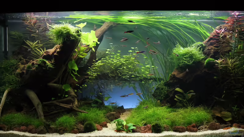 08.02.2013 von GIDDI (3)