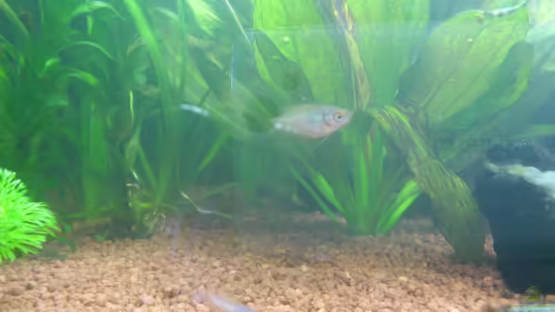 08.02.2013 von Stephan Groß (15)