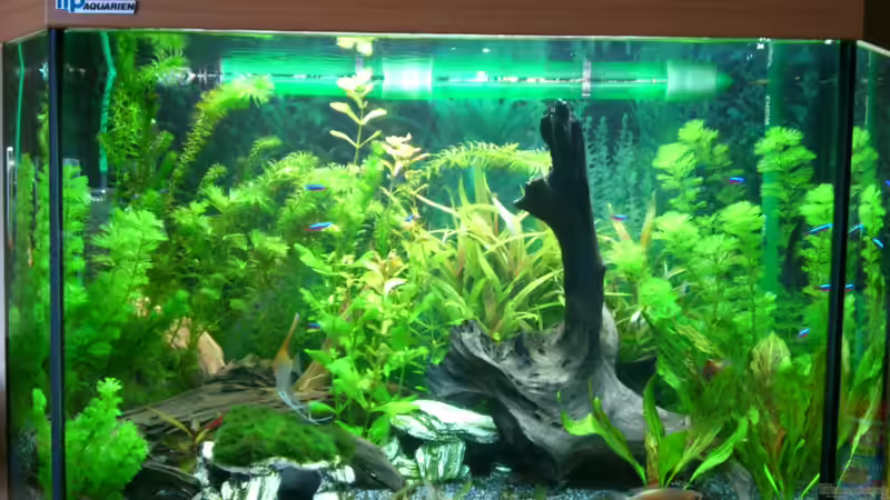 08.02.2013 von Stephan Groß (3)