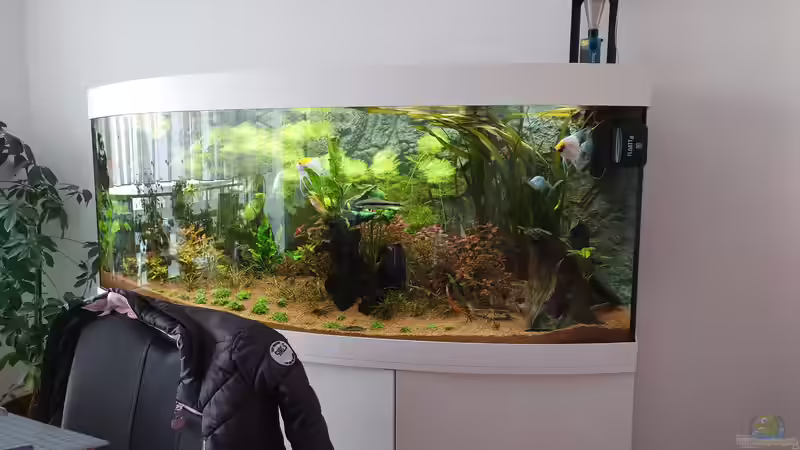 08.02.21 von Stefan von Oettingen (9)