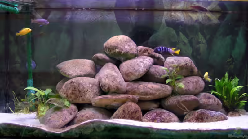 08.03.09 von Christoph Winter (1)