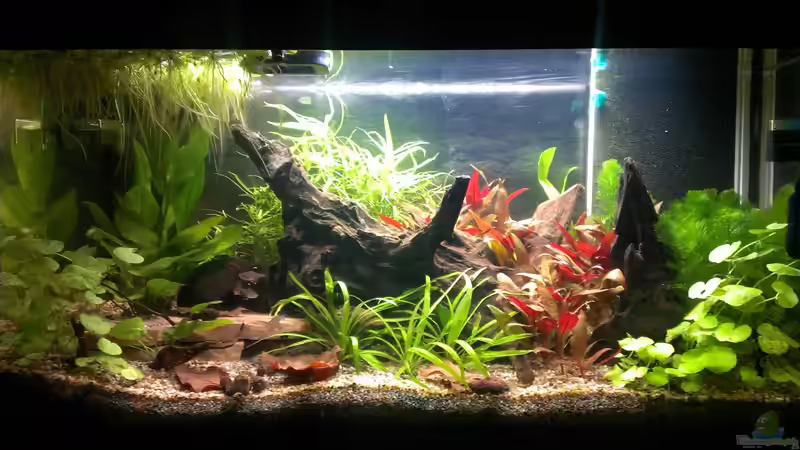 08.03.2013 von bocap (9)