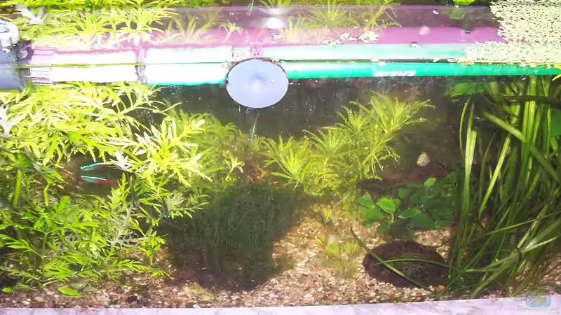 08.03.2014 von Jens J. (13)