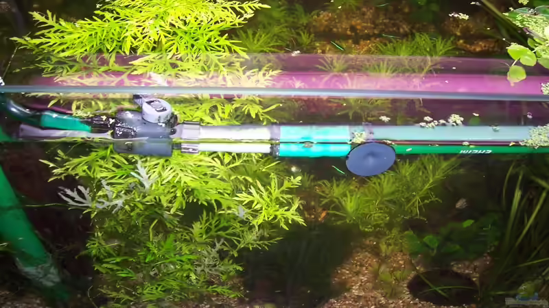 08.03.2014 von Jens J. (14)