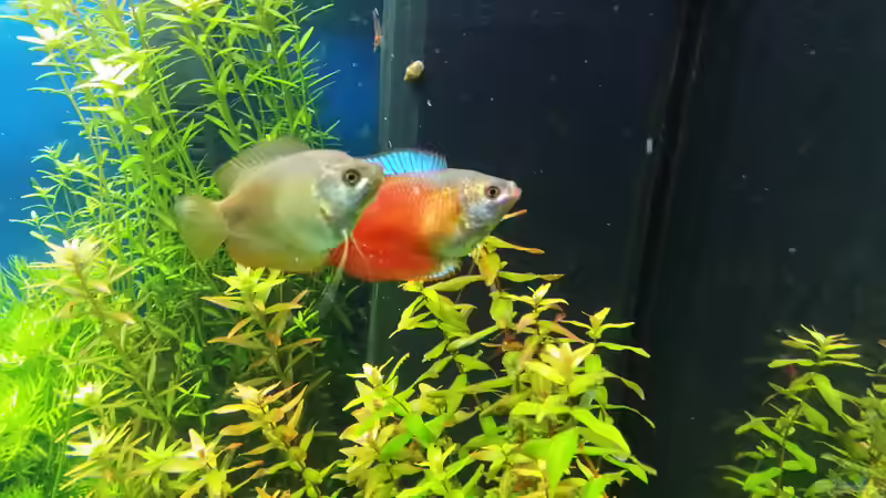 08.03.2015 von &lt;--- sebi ---&gt; (43)