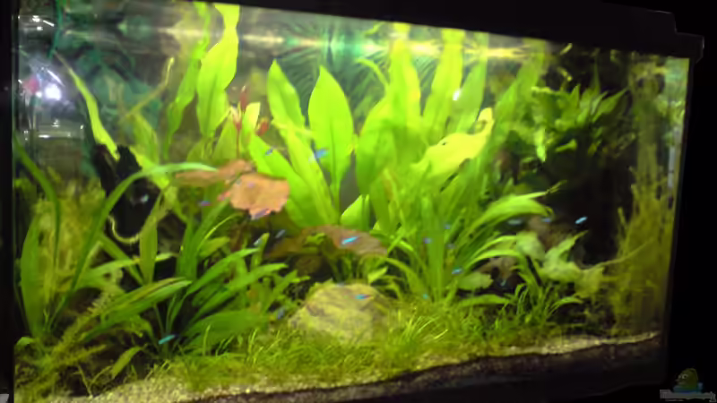 08.04.2010 von Michael Kaltenbach (2)