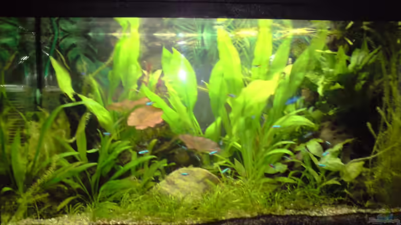 08.04.2010 von Michael Kaltenbach (3)