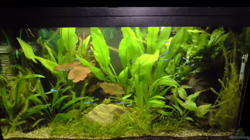 08.04.2010 von Michael Kaltenbach (5)