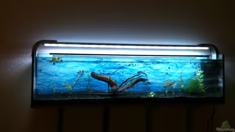 08.04.2011 von Pebbel (5)