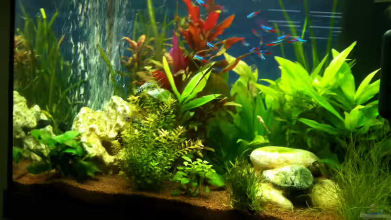 08.04.2012 von seegeist (1)