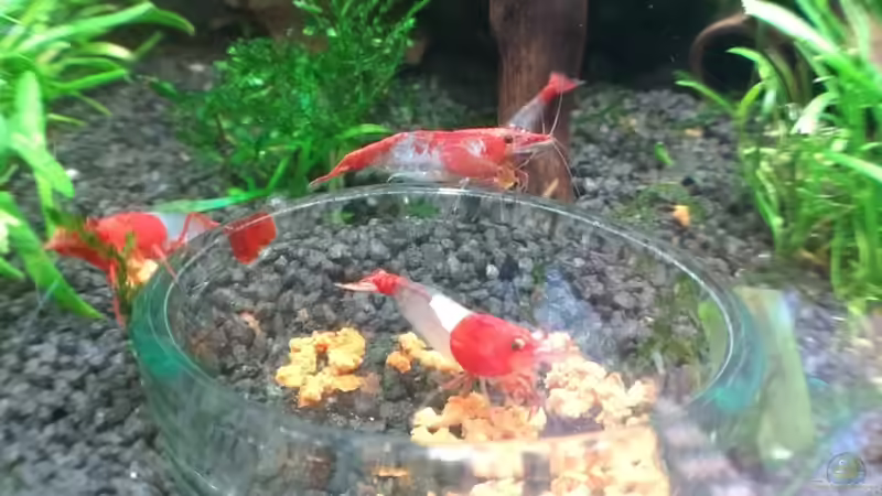 08.05.18 von Stephy (19)