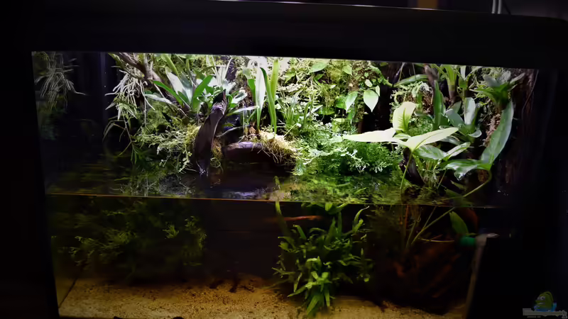 08.05.2022 von Junglist (8)