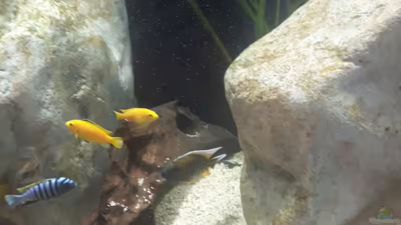 08.06.2019 von Andreas L. (3)